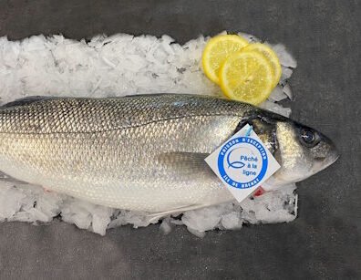Bar de ligne - Pièce de 1kg à 1,5kg