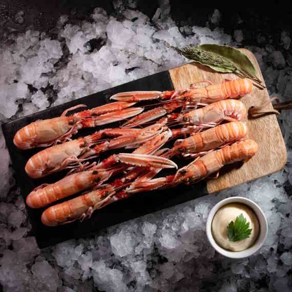Langoustines vivantes