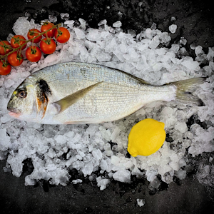 Dorade royale - Pièce de 1kg à 1.5kg