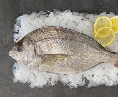 Dorade grise - Pièce de 500g à 800g