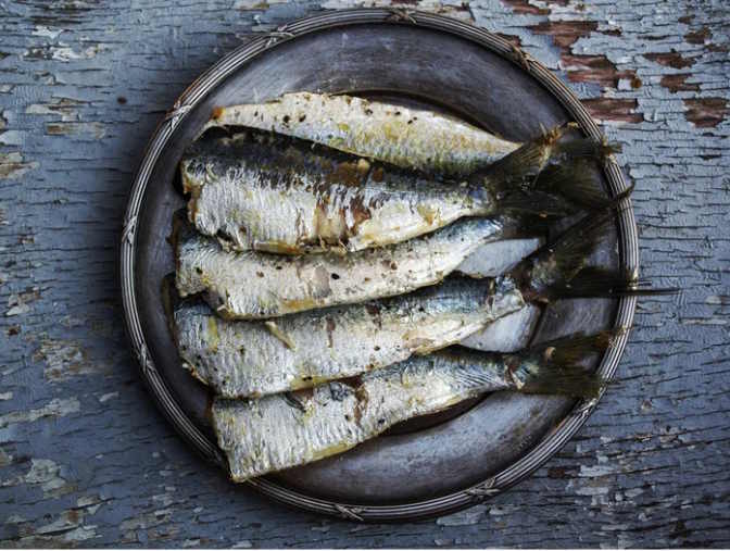Sardine