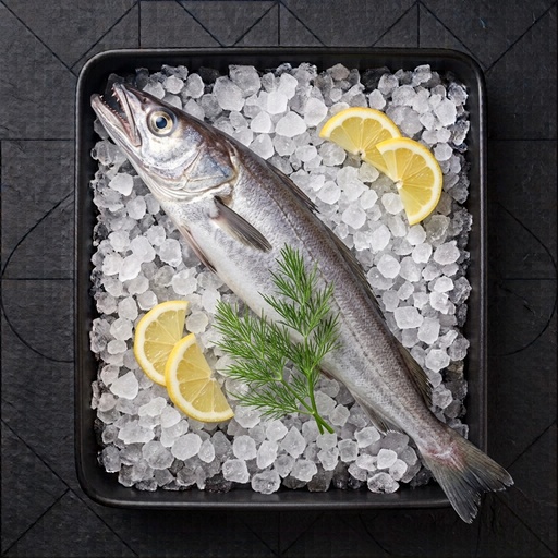 Merlu entre 1,2kg et 1,8kg
