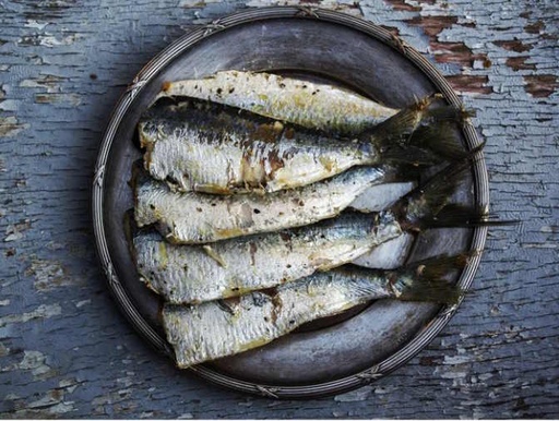 Sardine