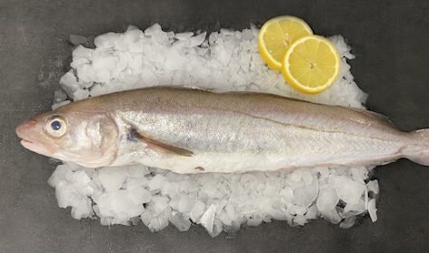Merlan - Lot de 1kg