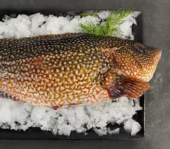 Vieille - Lot de 1kg