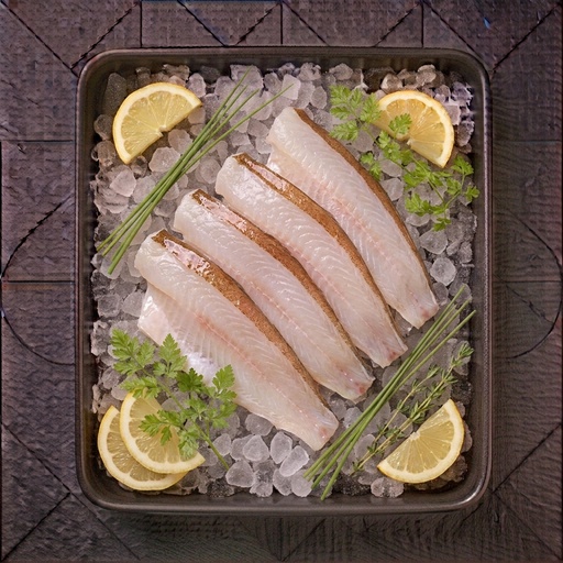 Filet de tacaud